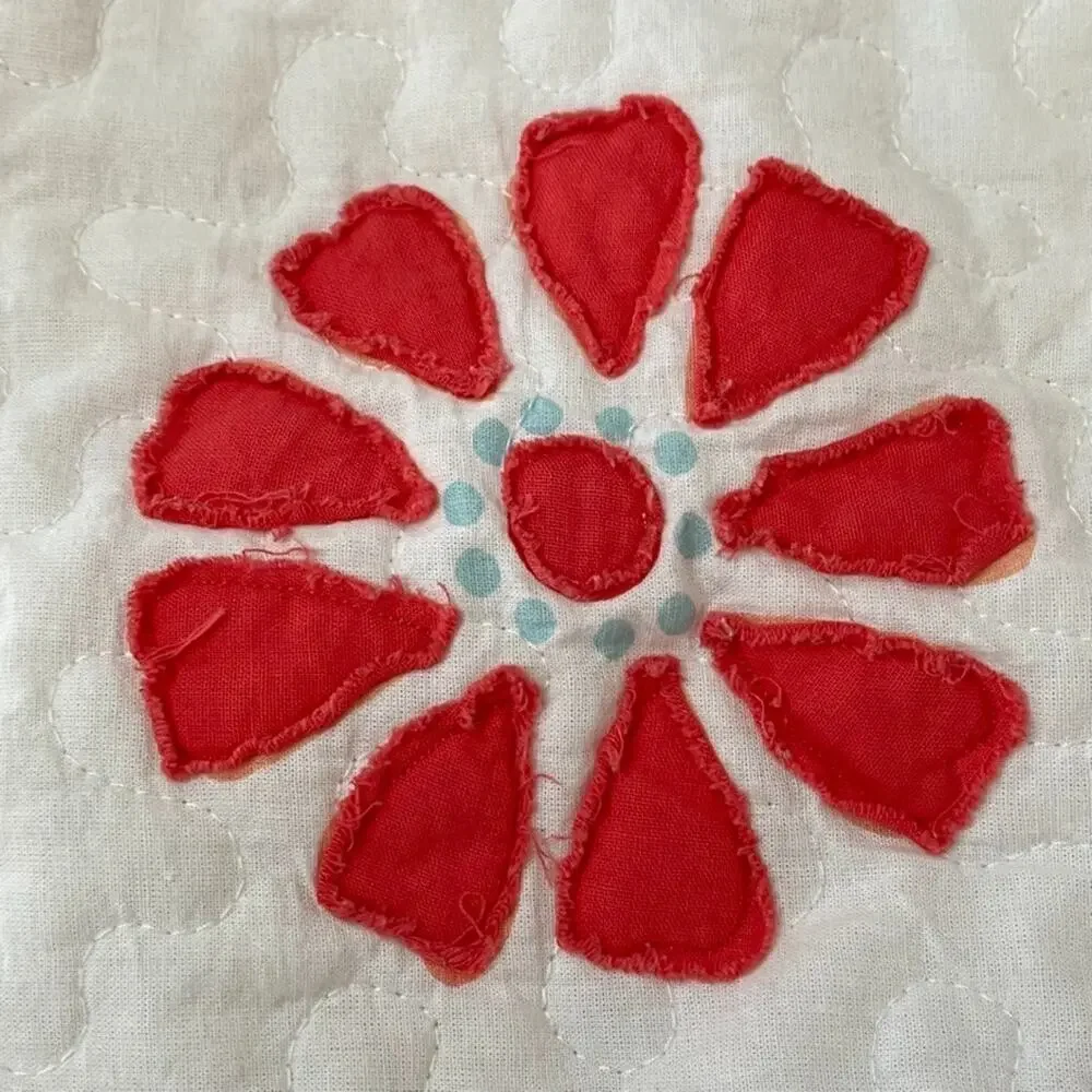 The Pioneer Woman Medallion Quilted Queen Pillow Shams (2) Cotton